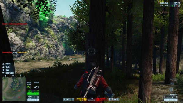 TREES ON FIRE